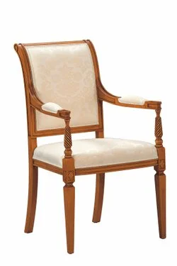 Polstersessel mit Armlehne