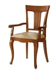 Polstersessel-Armlehne-Speisezimmer